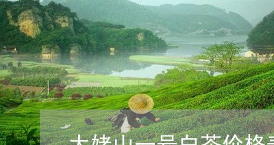 太姥山一号白茶价格表图/2023101650615