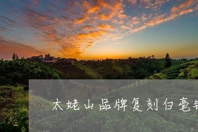 太姥山品牌复刻白毫银针/2023101637269