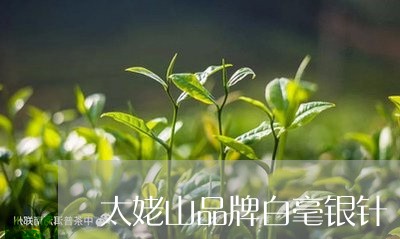 太姥山品牌白毫银针/2023071649605