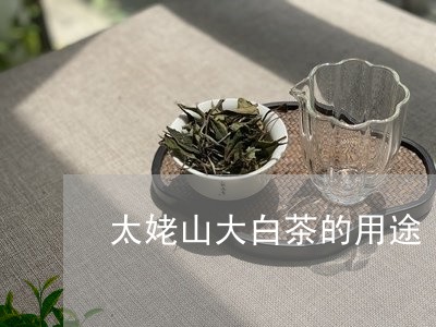 太姥山大白茶的用途/2023121894847