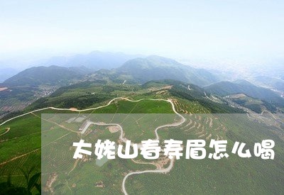 太姥山春寿眉怎么喝/2023120577260