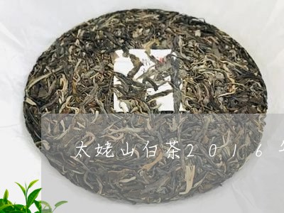 太姥山白茶2016年白牡丹75g/2023062807270