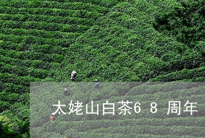 太姥山白茶68周年/2023121586069