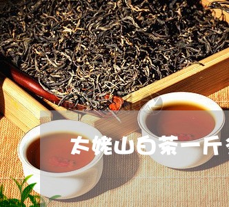 太姥山白茶一斤多少/2023121899371