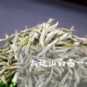 太姥山白茶一条价格/2023121893918