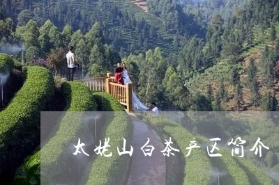 太姥山白茶产区简介/2023121887258