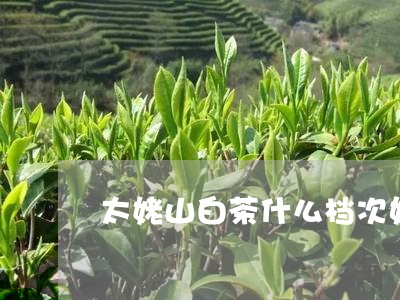 太姥山白茶什么档次好/2023092823828