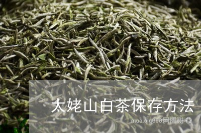 太姥山白茶保存方法/2023121845958