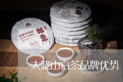 太姥山白茶品牌优势/2023121855252