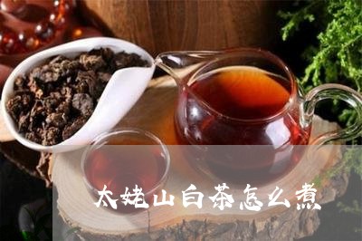 太姥山白茶怎么煮/2023061785248