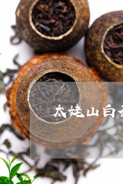 太姥山白茶是什么茶/2023121851825