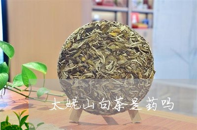 太姥山白茶是药吗/2023061714835