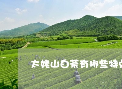 太姥山白茶有哪些特点/2023092842826