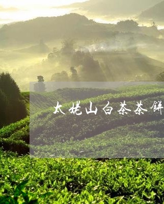 太姥山白茶茶饼种类/2023121887482