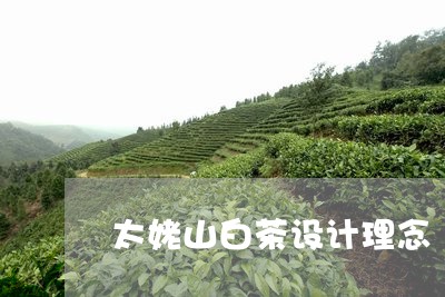 太姥山白茶设计理念/2023071604837