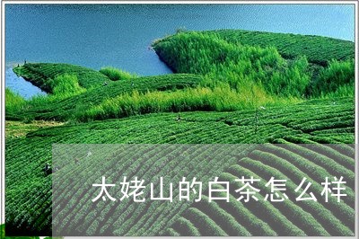 太姥山的白茶怎么样/2023081417281