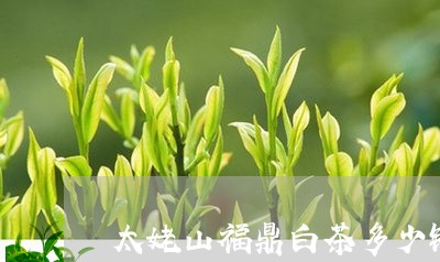 太姥山福鼎白茶多少钱/2023120777251