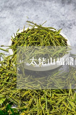 太姥山福鼎白茶定制茶/2023091501592