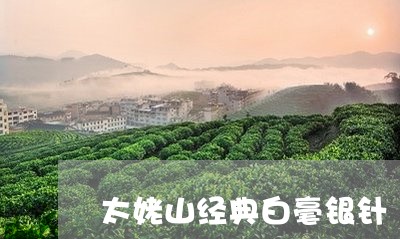 太姥山经典白毫银针/2023120602928