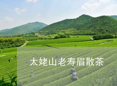 太姥山老寿眉散茶/2023090885259