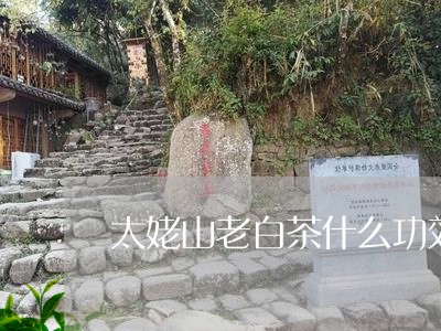 太姥山老白茶什么功效/2023092827462