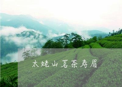 太姥山茗茶寿眉/2023112495047