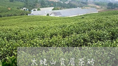 太姥山贡眉茶砖/2023112517370