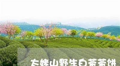 太姥山野生白茶茶饼/2023081406494