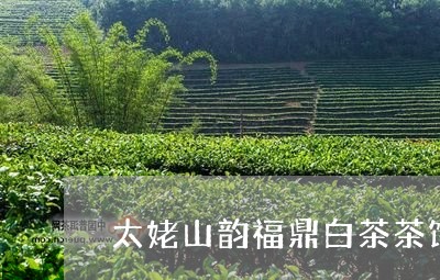 太姥山韵福鼎白茶茶饼/2023120871503