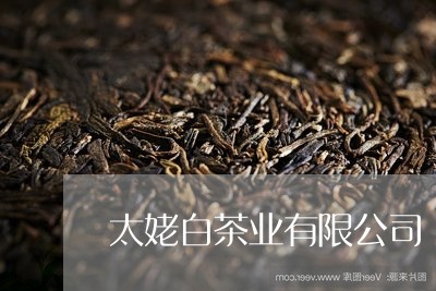 太姥白茶业有限公司/2023121869482