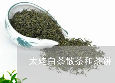 太姥白茶散茶和茶饼/2023111740492