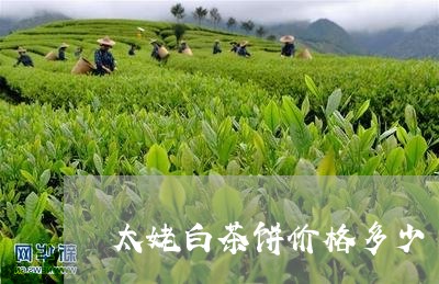 太姥白茶饼价格多少/2023081495040