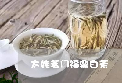 太姥茗门福鼎白茶/2023090919393