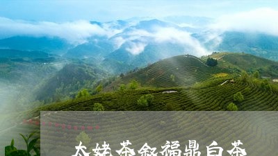 太姥茶叙福鼎白茶/2023090988461