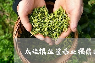 太姥银丝雀茶业福鼎白茶/2023092250383