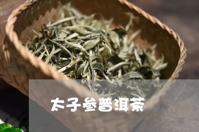 太子参普洱茶/2023042553036