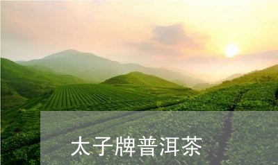 太子牌普洱茶/2023042611717