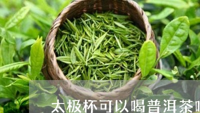 太极杯可以喝普洱茶吗/2023062351836