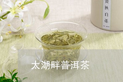 太湖畔普洱茶/2023042725300