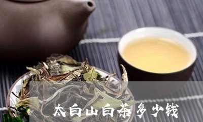 太白山白茶多少钱/2023061767464