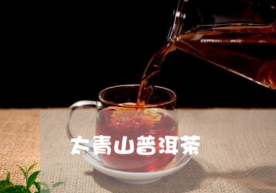 太青山普洱茶/2023042962100