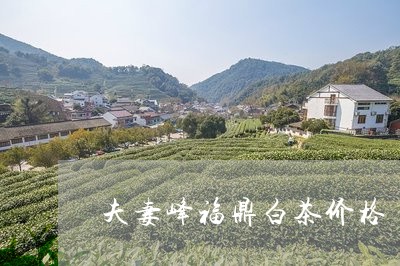 夫妻峰福鼎白茶价格/2023081405057