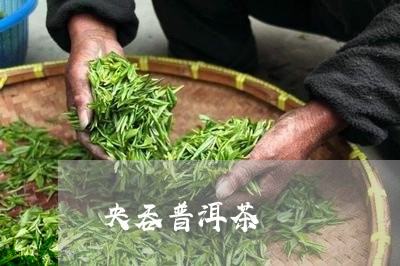 央吞普洱茶/2023090610272