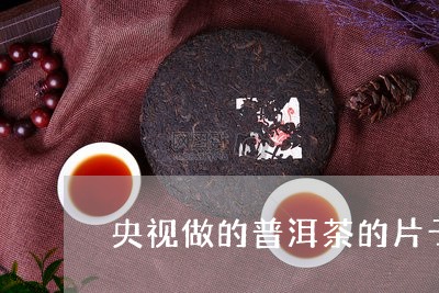 央视做的普洱茶的片子/2023062056049