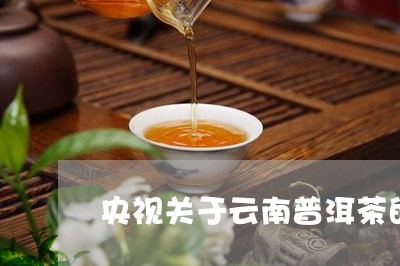 央视关于云南普洱茶的报道内容/2023082840725