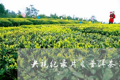 央视纪录片《普洱茶》/2023080353817