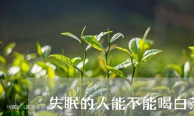 失眠的人能不能喝白茶/2023092852937