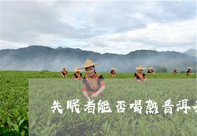 失眠者能否喝熟普洱茶/2023093058473