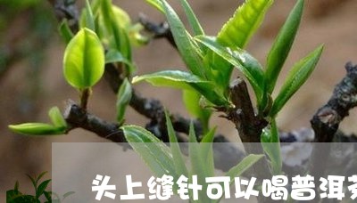 头上缝针可以喝普洱茶吗/2023082753158