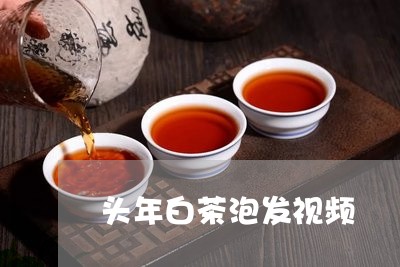 头年白茶泡发视频/2023061742616